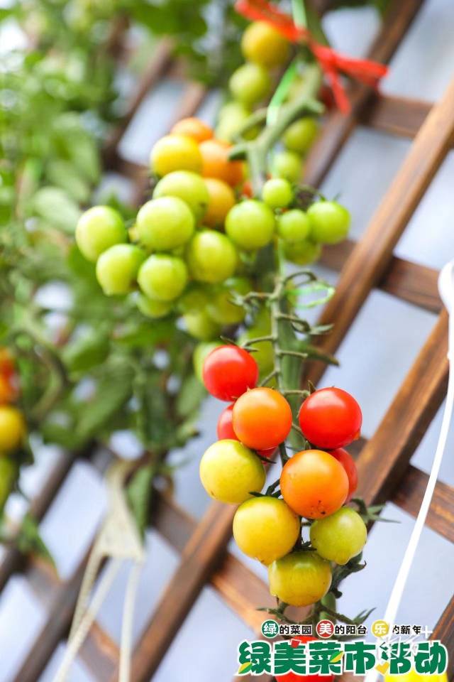 真幻4挨製下一代遊戲演示 逼真爽爆1080Ti便能夠60幀