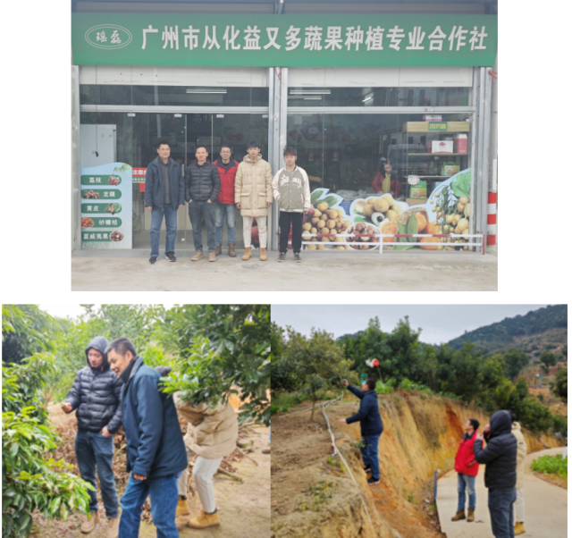 华南农业大学特派员团队为荔枝种植合作社提供科技服务