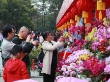 视频｜黄埔迎春花市开市！三大会场同时举办
