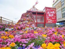 东西南北中，看花来广东！你最想去哪里“行花街”｜到湾区 过大年