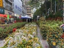 越秀城管提醒您：年桔“意头”靓，节后更要回收好