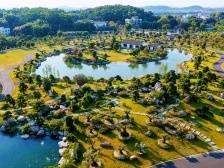 过个“精彩年”！春节来花都竹洞看萌喵、赏龙狮、品光影