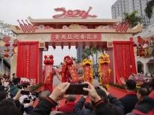 年味浓，开门红！番禺区迎春花市开市啦