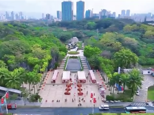 山里好货借花市“出山”，南山花市这个展区太好逛