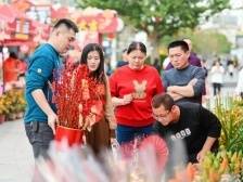 逛花街，行好运！万江这些购花点年味超浓（附地址）