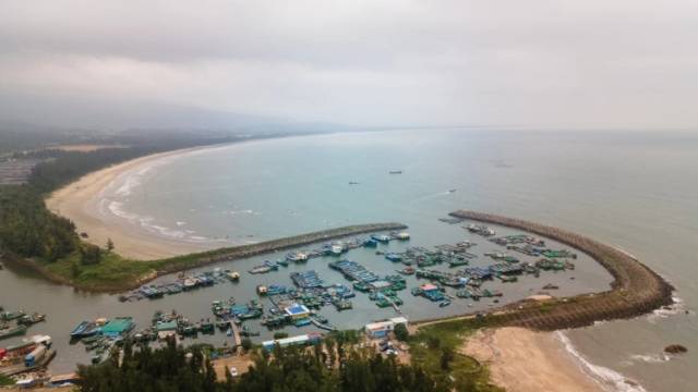 风浪越大鱼越贵，什么力量在保“价”护航？｜调研+