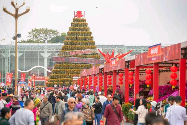 陳村花卉世界,，圖片來源：陳村宣辦