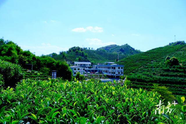 东源县云上仙湖民宿服务有限公司 东源县云上仙湖民宿服务有限公司