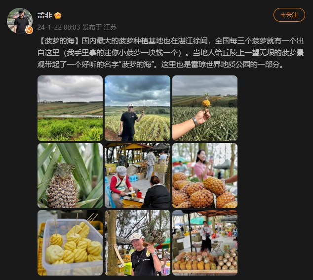 孟非展示“菠萝的海”风景及徐闻小菠萝,图片来源:微博@孟非 孟非展示“菠萝的海”风景及徐闻小菠萝,图片来源:微博@孟非