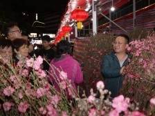 亮了，靓了！2024年荔湾区传统迎春花市开市啦！