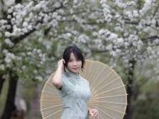 过年来肇庆！看这全国闻名的“雪景”