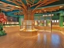 春节不打烊！龙华区各文体场馆开放安排来了