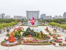 巨型龙灯、5万盆时花，东莞市中心广场春节花坛抢先看