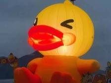 大年初三开启！在大鹏西涌国际暗夜社区来一场星辰大海游园