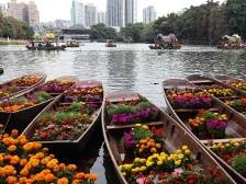 龙腾湾畔花漫西关，2024广州水上花市荔湾启动