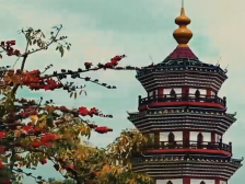 中山，也可以很“王家味”！丨让家乡出圈