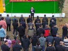 种树近千棵！韶关武江西联镇为绿美乡村添新绿