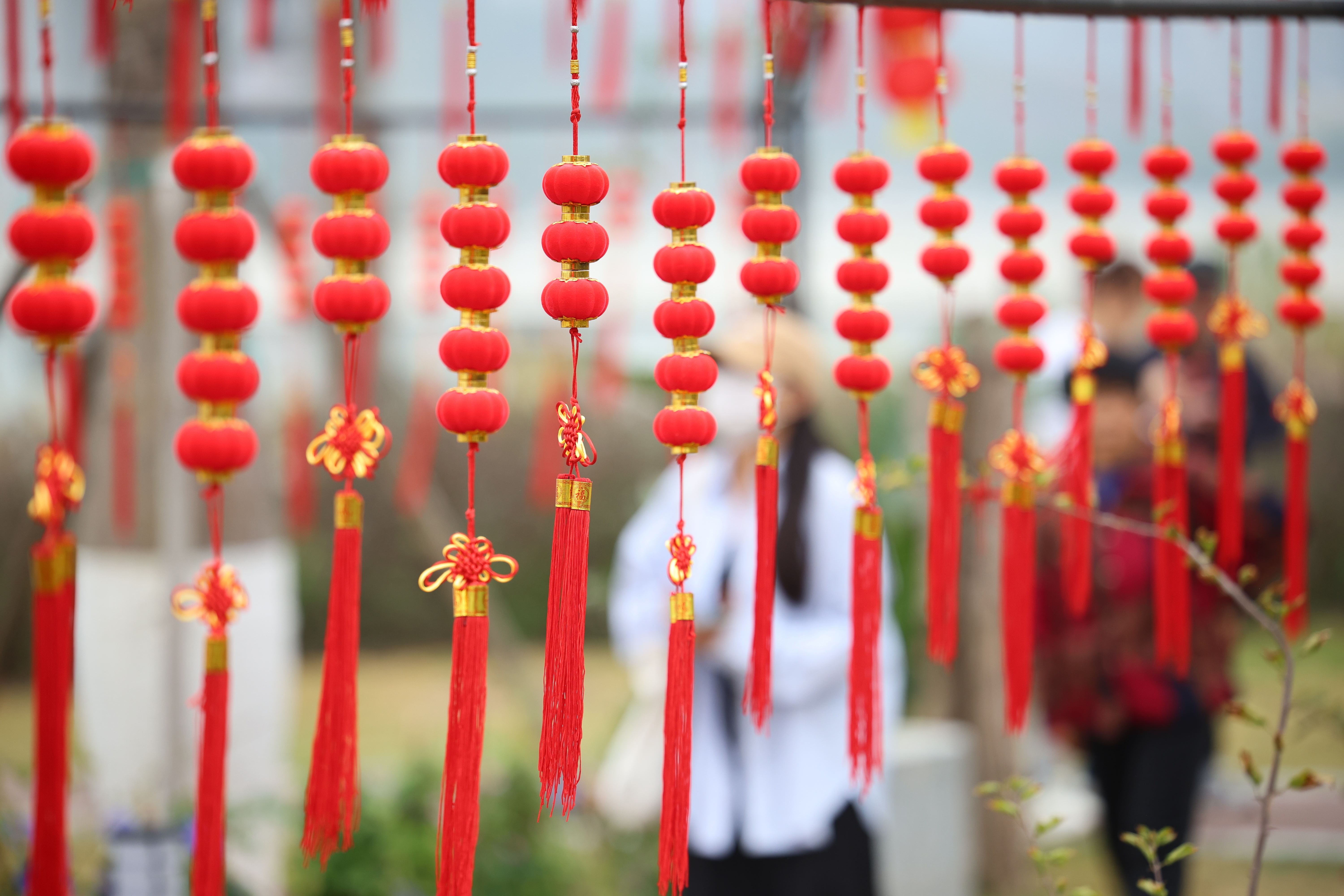 浓厚的年味洋溢着整个城市。