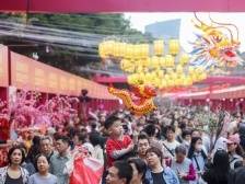 图集｜浓浓年味扑面来，深圳花市人气旺