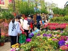 备年货、购新衣、买年花…….湛江街头年味正浓！