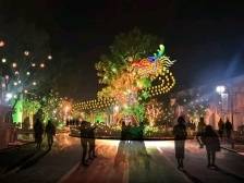 龙行龘龘！深汕新春文化活动攻略来了