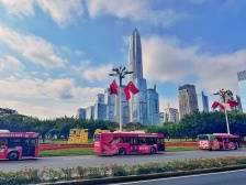 深圳“龙年”主题巴士上线，带您新春喜庆游鹏城！