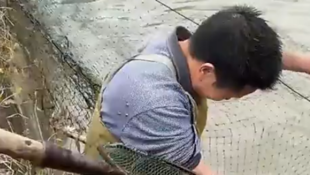 年年有“鱼”！河源村民捕鱼迎春节、庆丰收|让家乡出圈