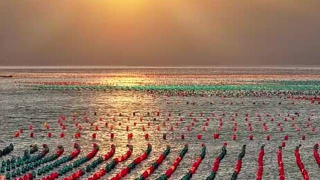 爱在南澳岛日落黄昏时 | 让家乡出圈