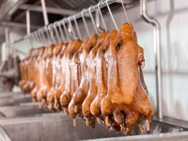 卤澄海狮头鹅。