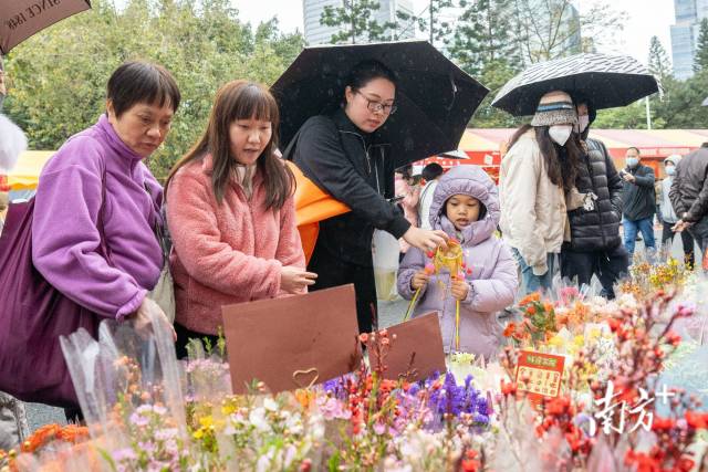 图集丨风雨无阻，来天河花市打卡迎春花海