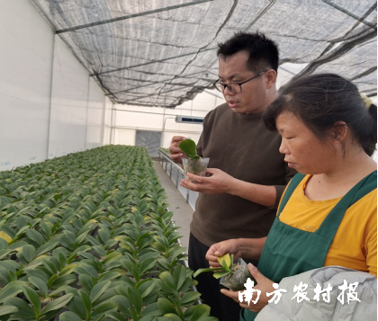 农技专家到云城区现代农业产业园开展农业技术服务指导活动