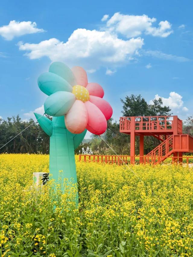2025年六安市将培养92名乡村医生