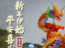 海报｜望牛墩的年，就是这个味儿~