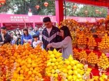 双语vlog丨深圳“顶流”花市长啥样？Flower Market in Shenzhen