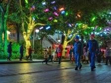 惠州电网青年这样过春节