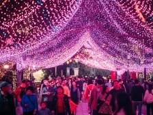 现实与梦幻交错，惠州西湖花灯邀你沉醉新春｜让家乡出圈