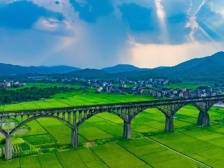 “龙乡”罗定邀请您来过大年 | 让家乡出圈