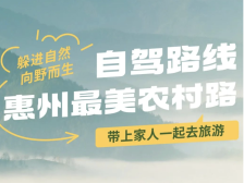春节自驾去哪儿？惠州最美农村路任你挑