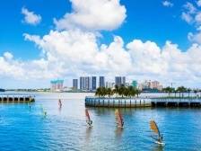 “鲜美湛江”拍了拍你：来湛江，过大年！