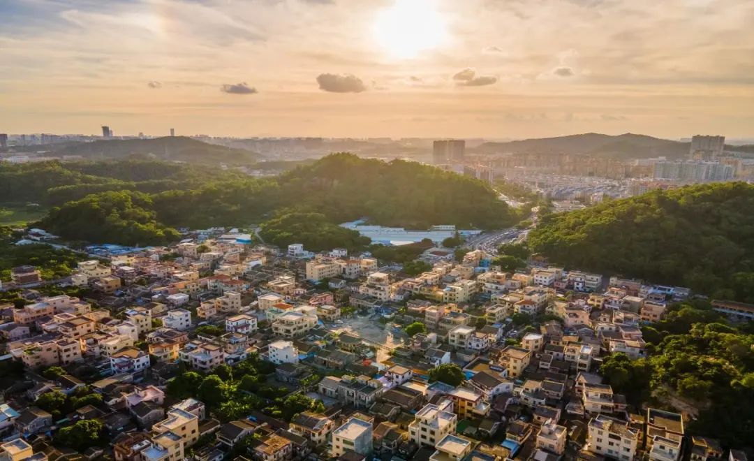 寻迹中山火炬区文化,这里也有条龙……