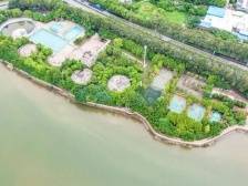 新年有咩料？一文畅游望牛墩！