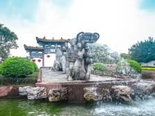 快去打卡！深圳这里有10000条龙~