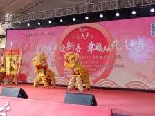 在广东过大年！新春文明实践活动精彩纷呈