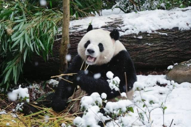 �����ڼ�3�����������èͶ����������� ����������ι�