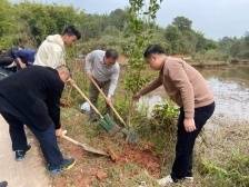 贺新春、叙乡情、话发展! 怀集这些地方召开乡贤座谈会