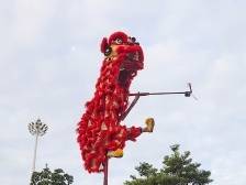 小乡村里有“萌兽”，龙腾狮跃闹新春｜让家乡出圈