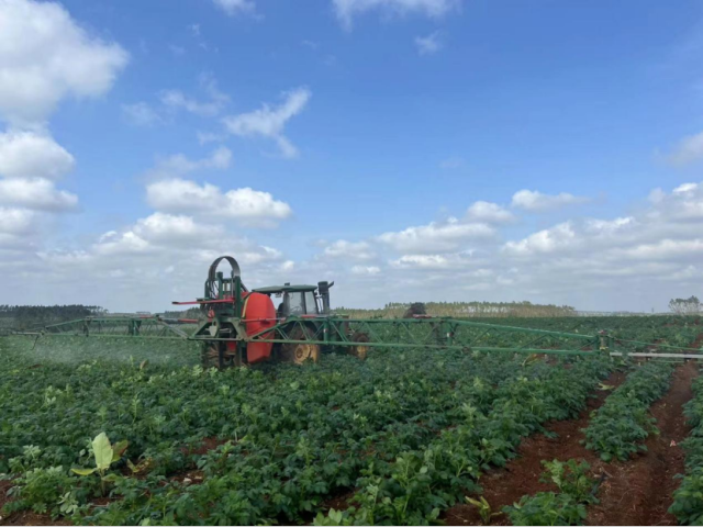一亩田与广东农垦合作共建的基地采用全机械化管理。