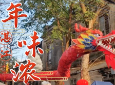 湛江的年味，藏在深海的“鲜”与非遗美食的“香”里｜让家乡出圈