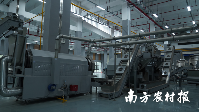 揭西茶叶现代化智能生产设备，在保证传统工艺产品品质的同时，进一步实现了揭西炒茶的标准化。