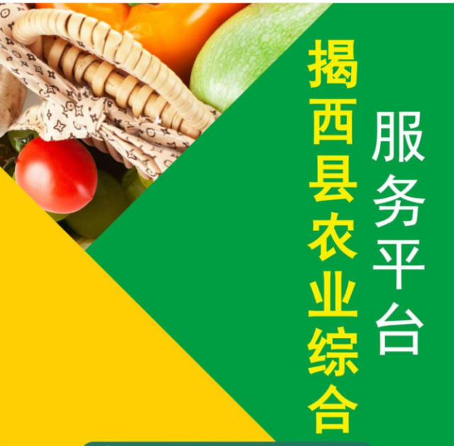 日前，揭西县农业综合服务平台已正式上线，通过平台推动特色农产品“触电上网”销售，实现“源头集采接地气、采购销售通心意”。